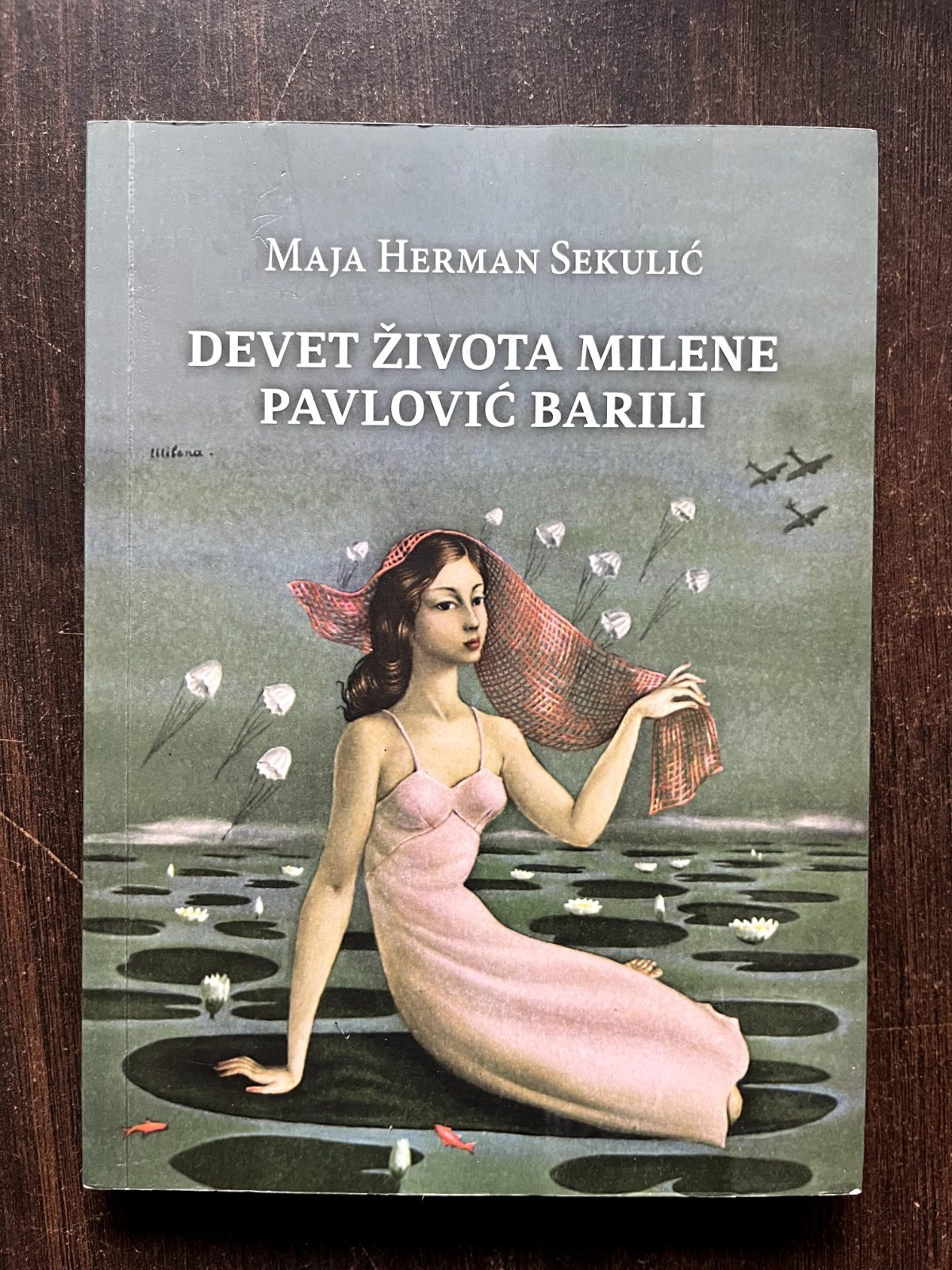 Devet zivota Milene Pavlovic Barili